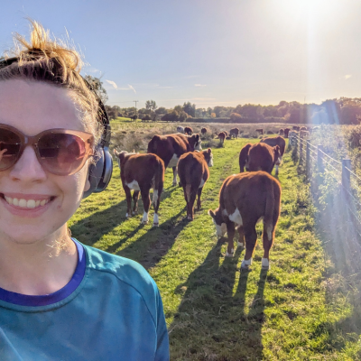 Marathon runner in sunlight with cows in the background